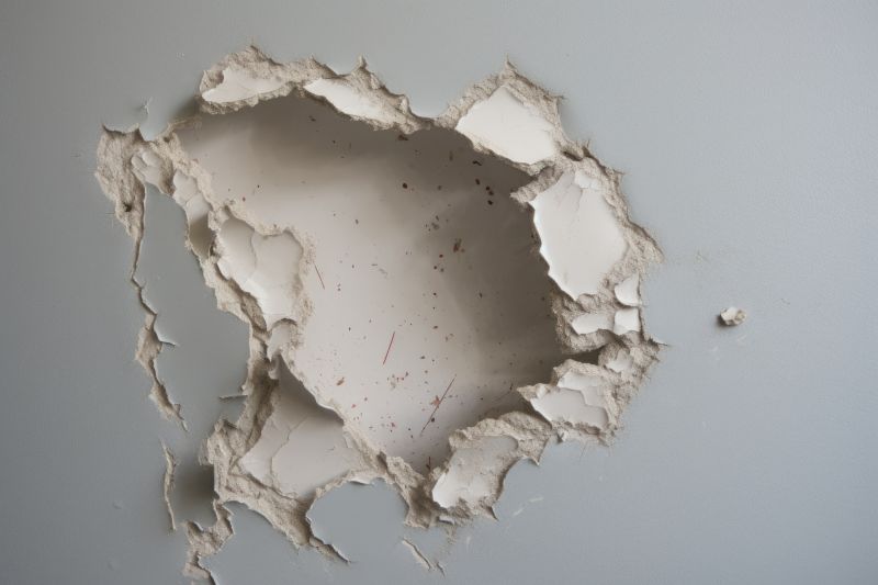 Wall Damage Repair in Conroe, TX